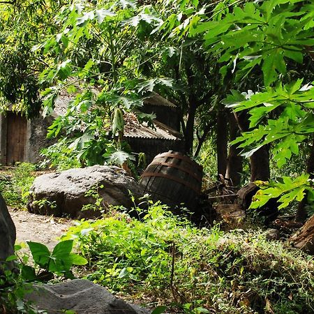 Private Holiday Apartment タラファル エクステリア 写真